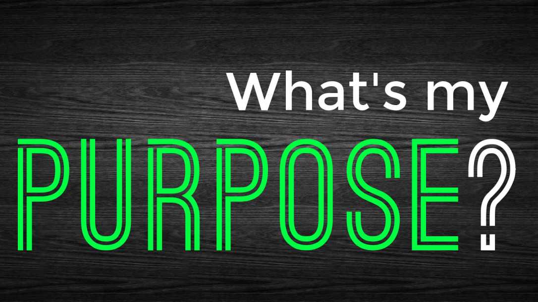 Whats-my-purpose